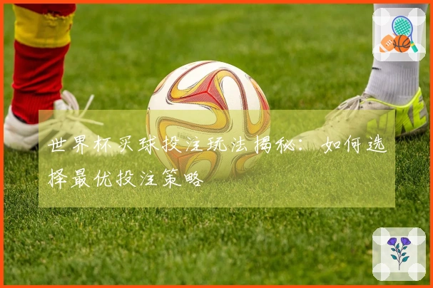 世界杯买球投注玩法揭秘：如何选择最优投注策略