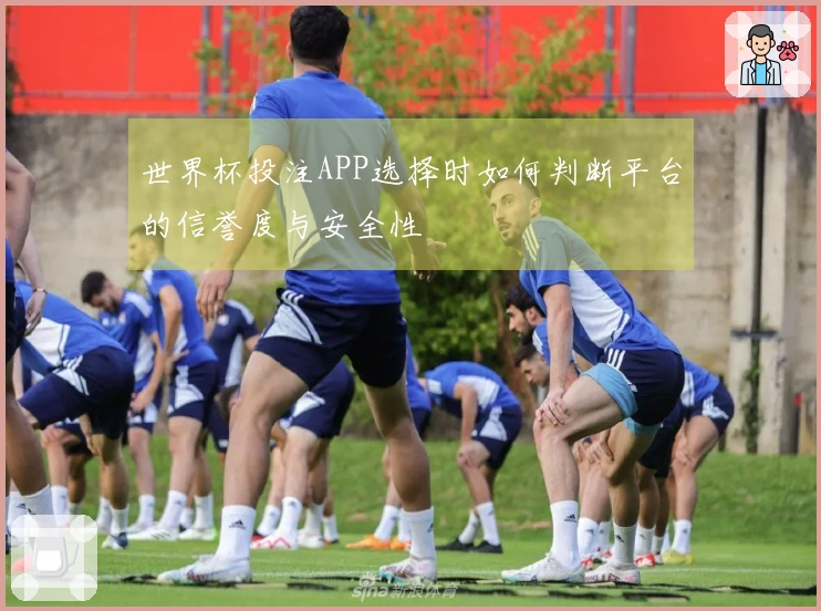 世界杯投注APP选择时如何判断平台的信誉度与安全性