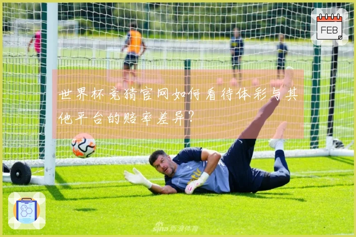 世界杯竞猜官网如何看待体彩与其他平台的赔率差异？